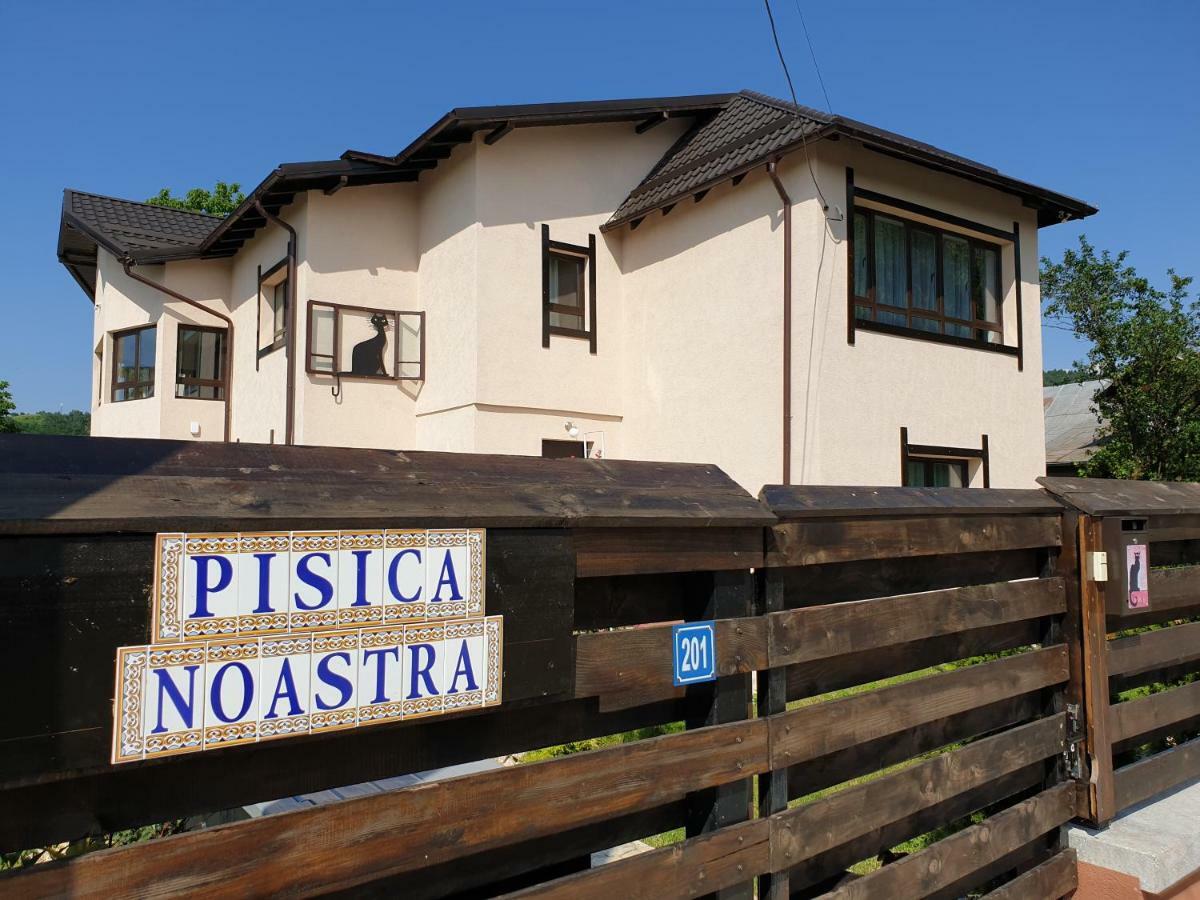 Casa Pisica Noastra Hotel Breaza  Exterior foto